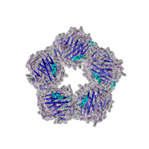 C-Reactive Protein in Saliva