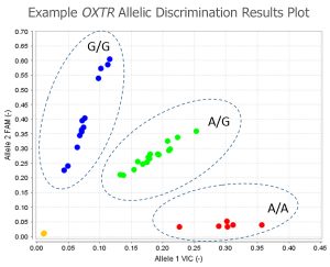 Example DNA OXTR Aleic Discrimination Results