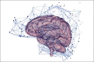 Neurosience Data